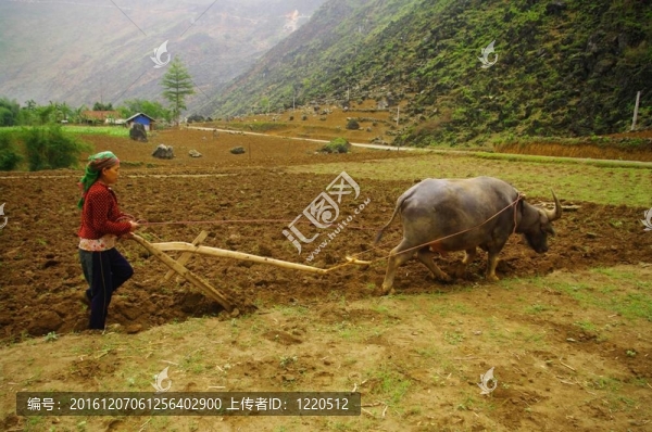 苗族婦女翻白