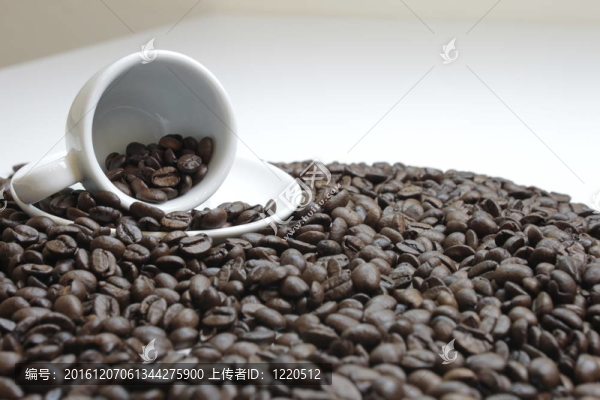 意大利濃咖啡豆白杯