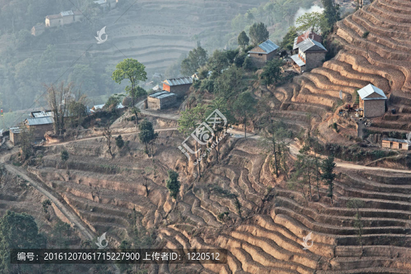 尼泊爾那加闊山梯田