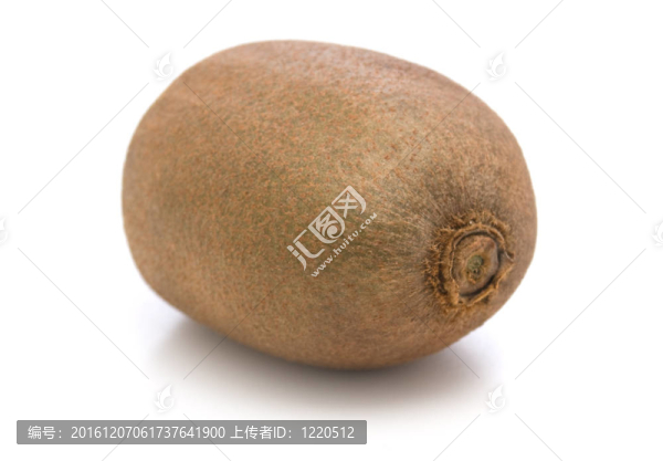 幾維鳥(niǎo)