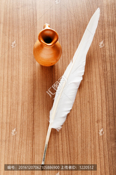 背景羽毛