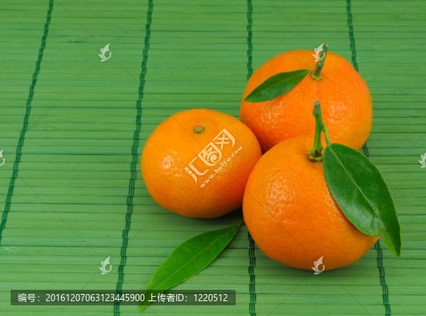 橘子收成時
