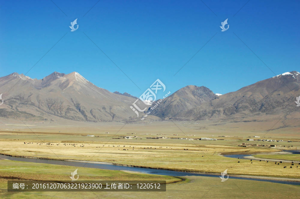 西藏的風景