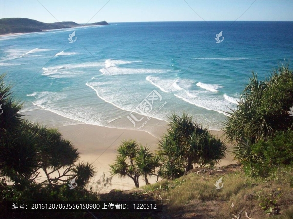弗雷澤沙島