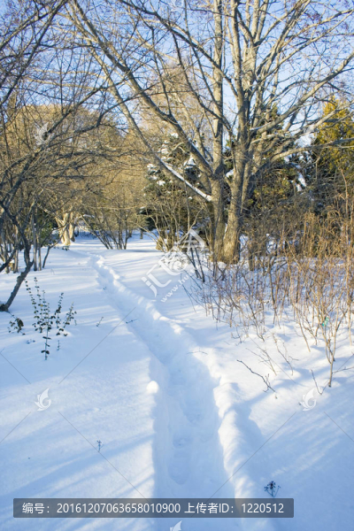 穿過花園的雪徑