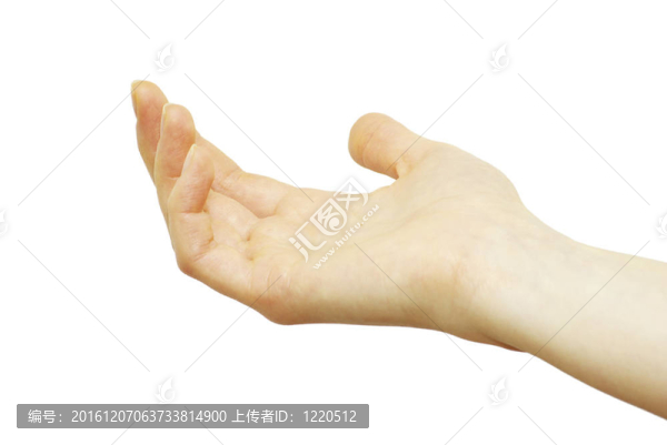 手