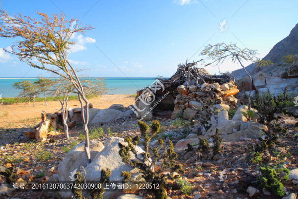 海灘上的原始小屋