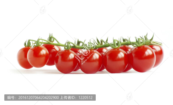 西紅柿