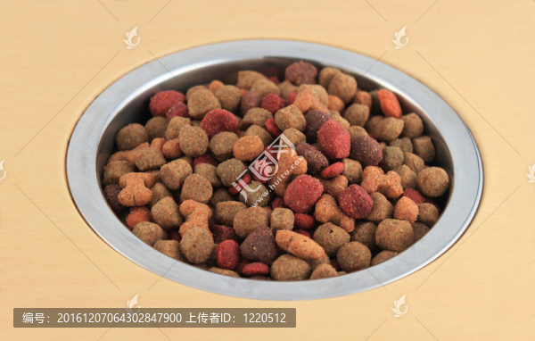 碗里的狗食