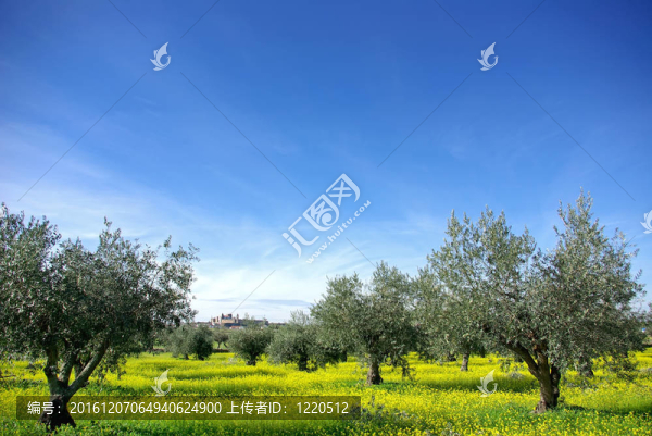 如葡萄牙地區(qū)景觀。