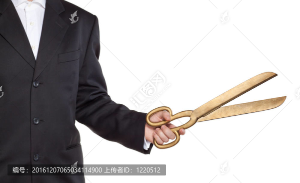 盛大的開幕式