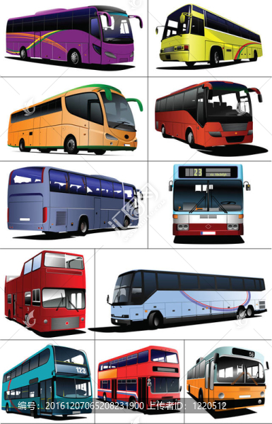 十一種城市公交車。旅游
