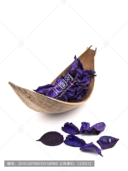 紫花香白色背景