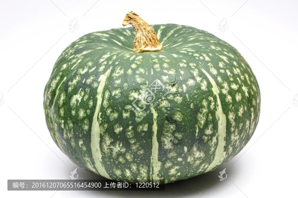 孤立的日本南瓜
