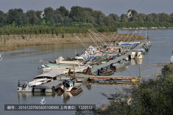 波河；浮碼頭
