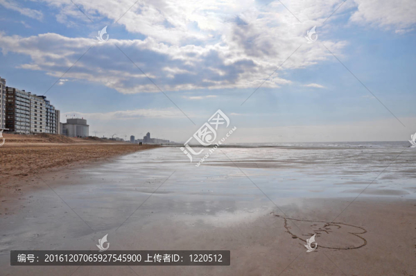 海岸