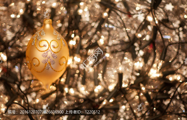 小玩意和Holly