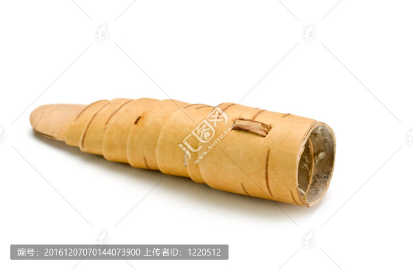 樺樹角