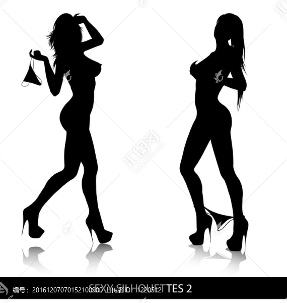 性感的輪廓