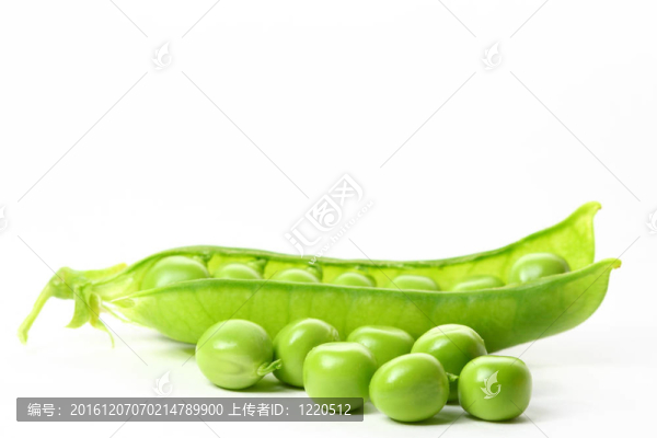 孤立的豌豆