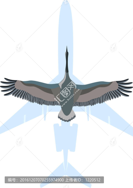 客機與鳥
