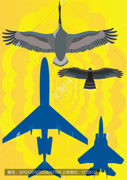 鳥和飛機