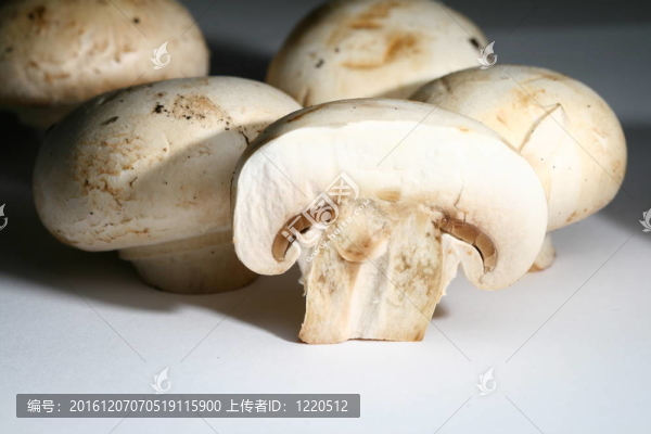 香菇