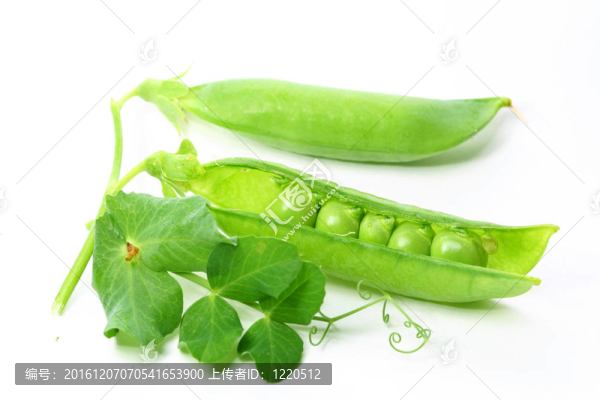 孤立的豌豆