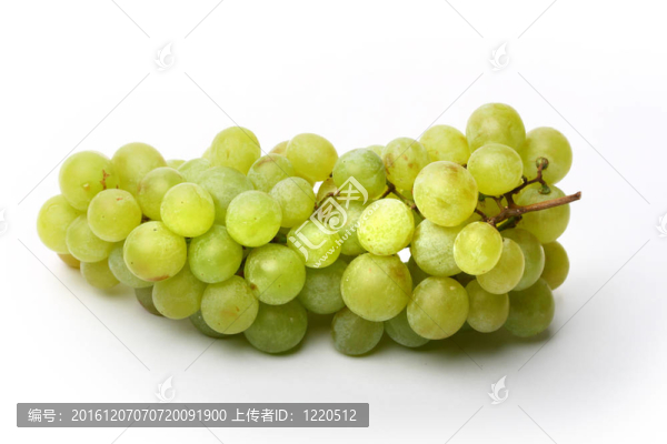 葡萄
