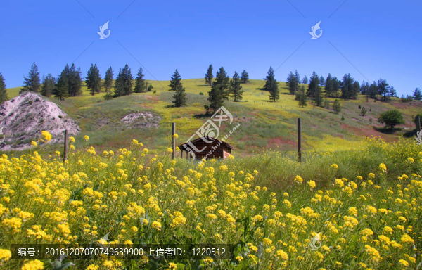 蒙大納風景區(qū)夏季景觀