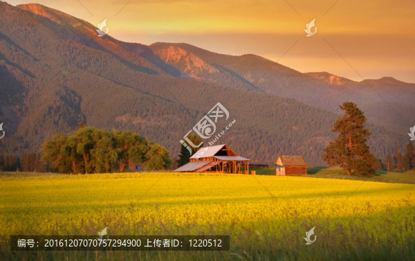 風(fēng)景景觀