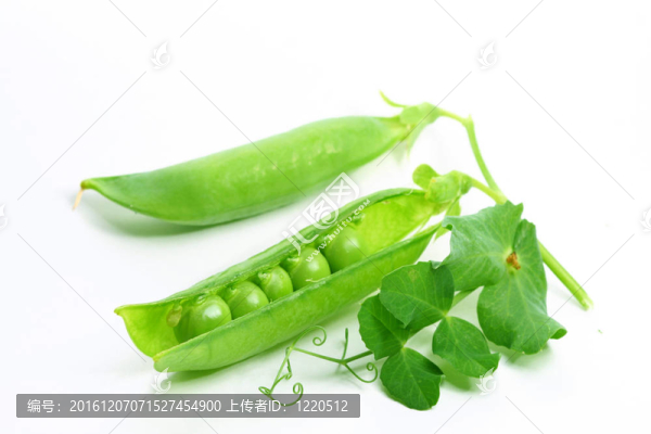 孤立的豌豆