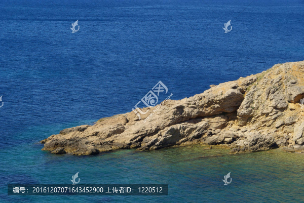 星星龜海灘05