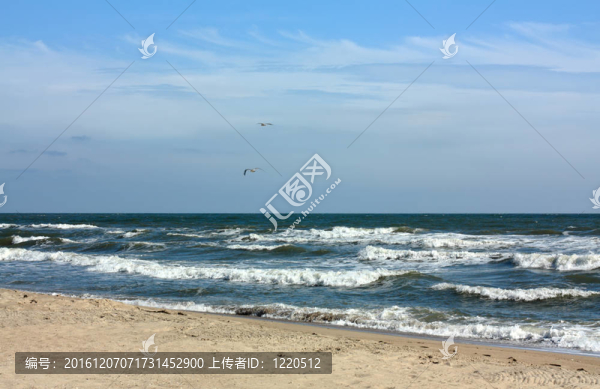 海岸