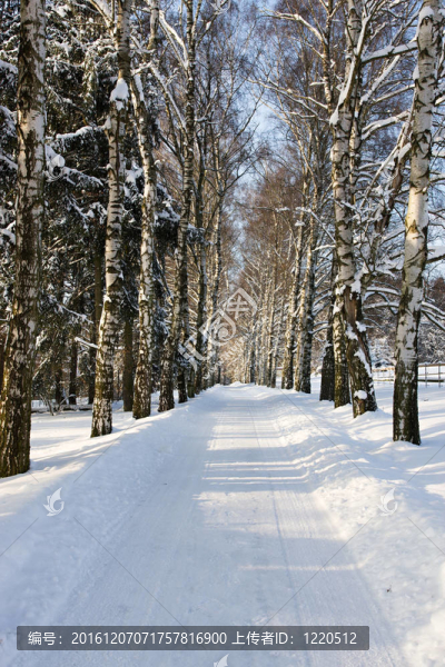 雪巷