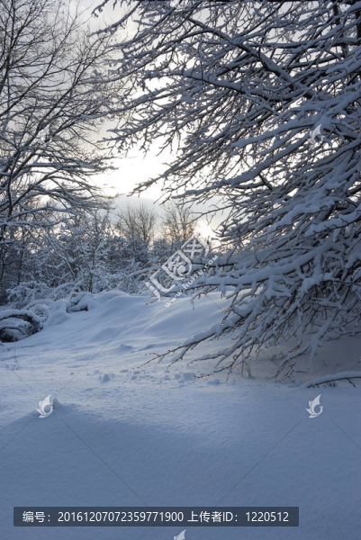 太陽；新鮮的空氣和大量的雪