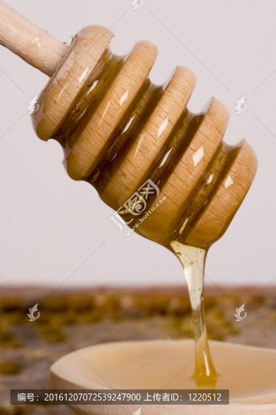 美麗的黃色補(bǔ)丁的蜂蜜
