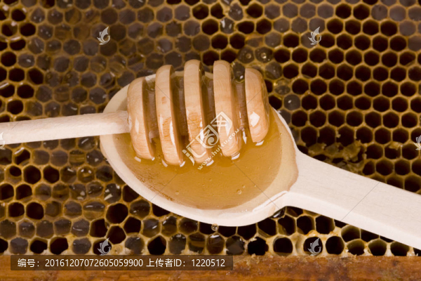 美麗的黃色補(bǔ)丁的蜂蜜
