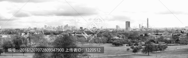 櫻草山；倫敦