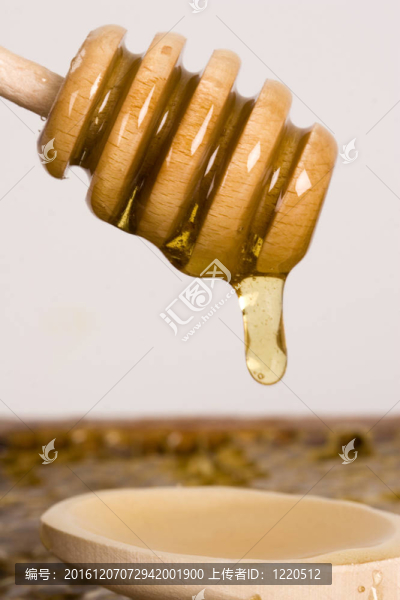 美麗的黃色補丁的蜂蜜