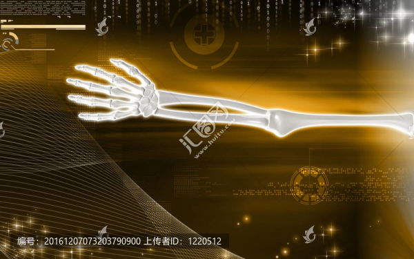 手骨
