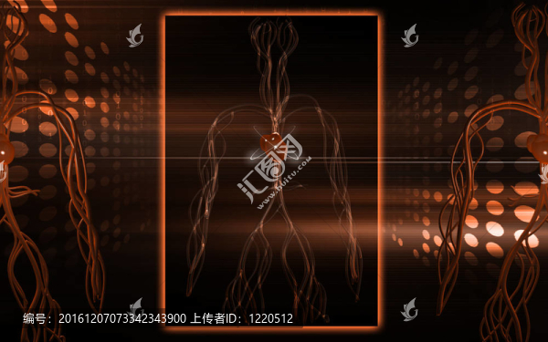血管系統(tǒng)