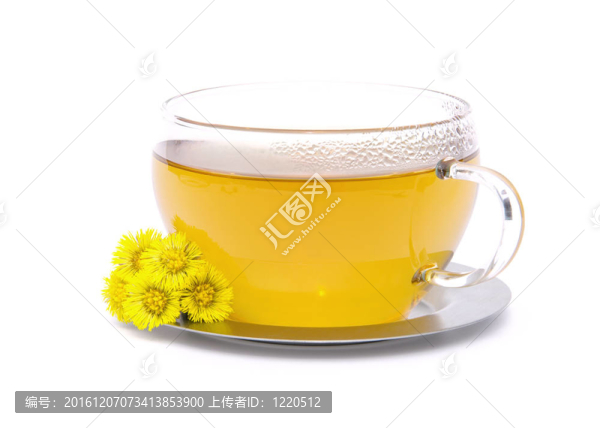 茶Coltsfoot,02