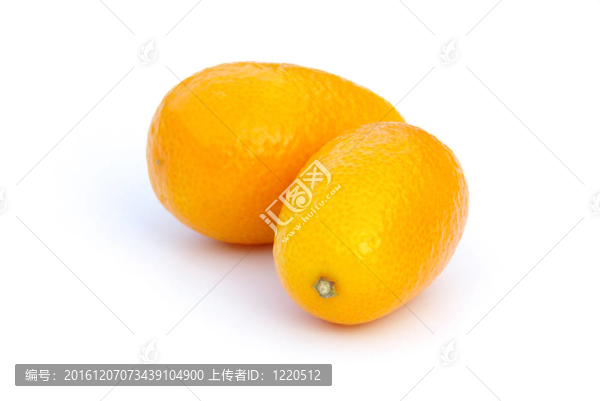 金橘08