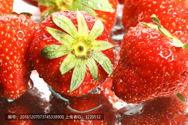 草莓
