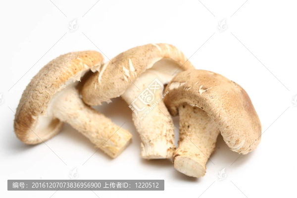 香菇