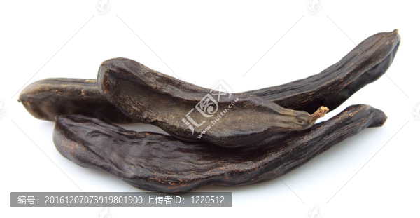 豆角的豆莢