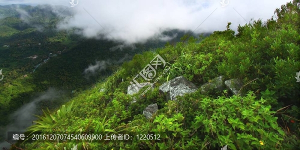 從Saint,Lucia佩蒂特巖釘