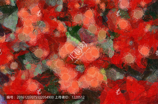 一品紅花卉背景