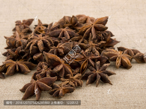 芳香的茴香